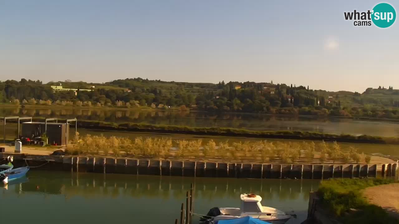 Krajinski park Strunjan v živo