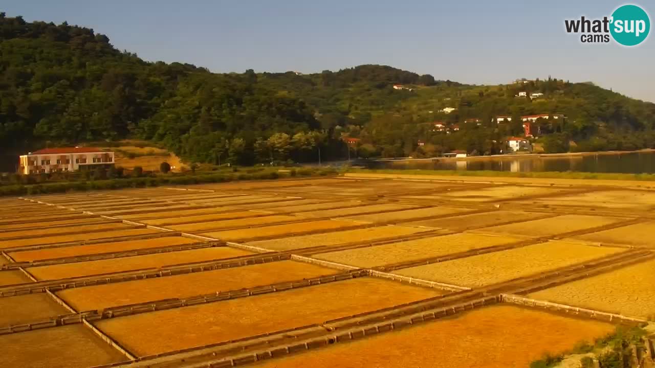 Krajinski park Strunjan v živo