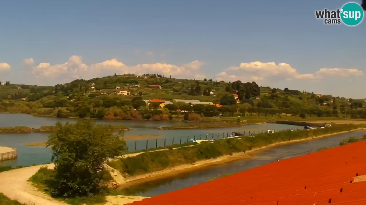 Krajinski park Strunjan v živo