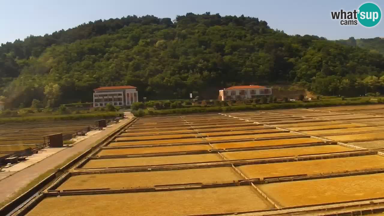 Krajinski park Strunjan