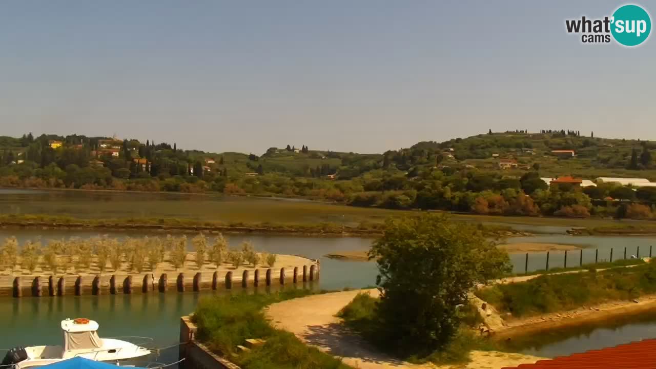 Krajinski park Strunjan u živo
