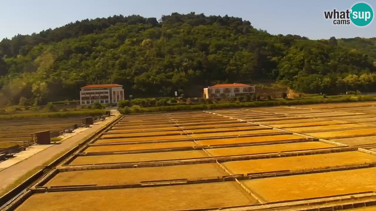 Parco naturale Strugnano