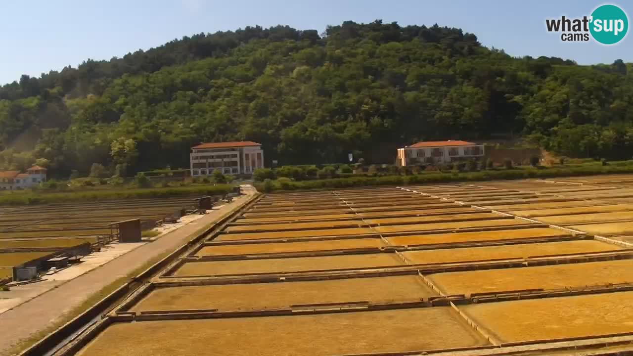 Parco naturale Strugnano