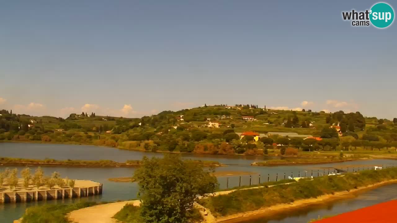 Krajinski park Strunjan v živo