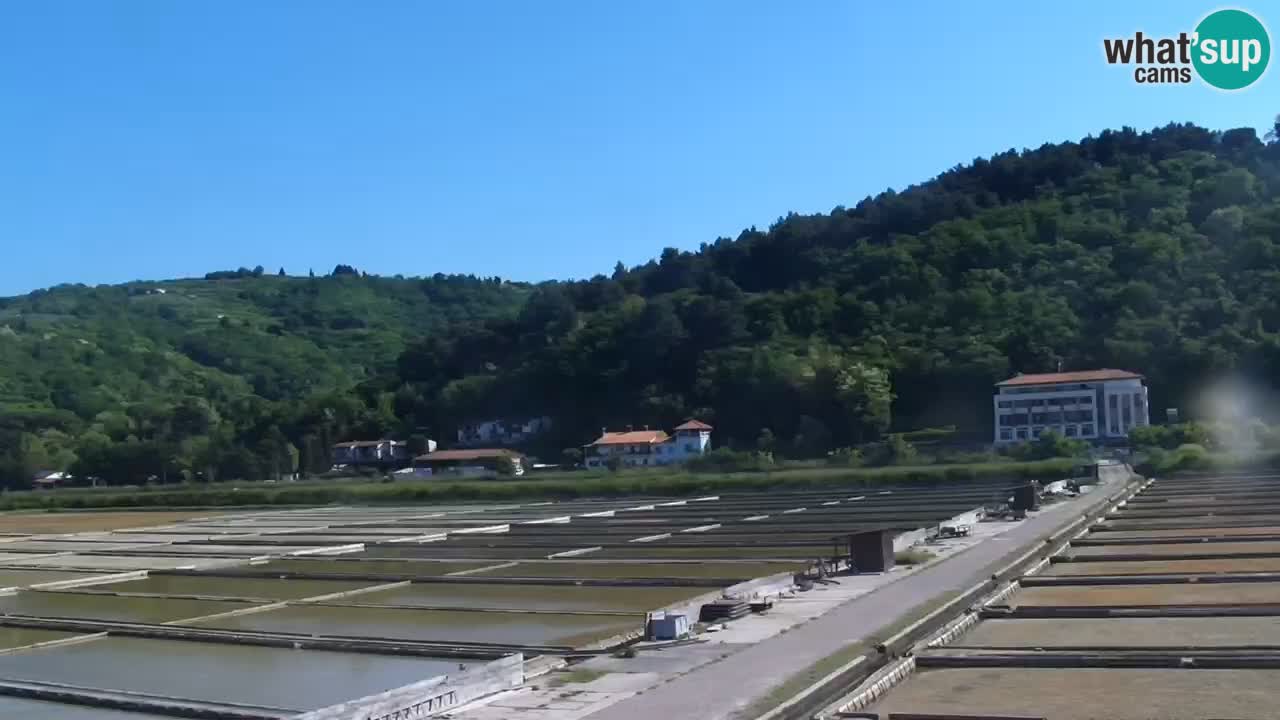 Krajinski park Strunjan