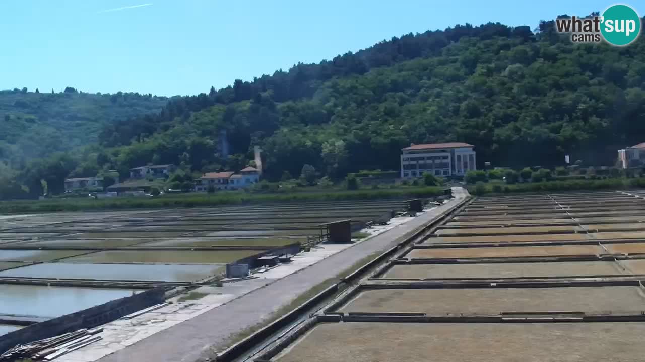 Krajinski park Strunjan v živo