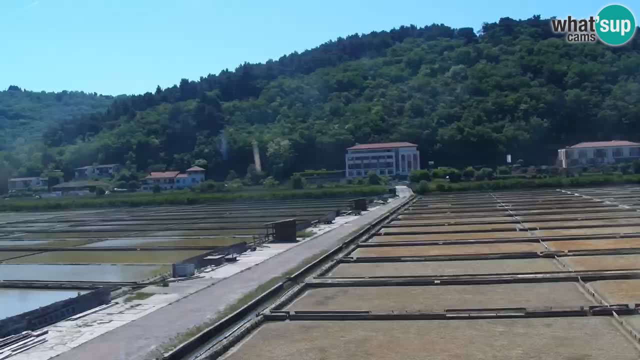 Krajinski park Strunjan v živo