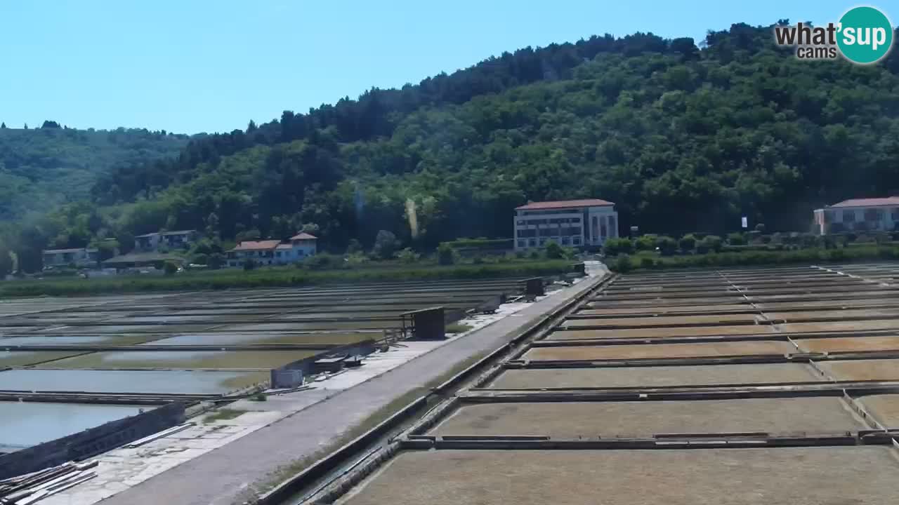 Krajinski park Strunjan