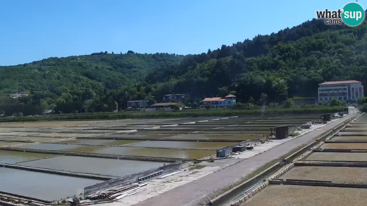 Krajinski park Strunjan v živo