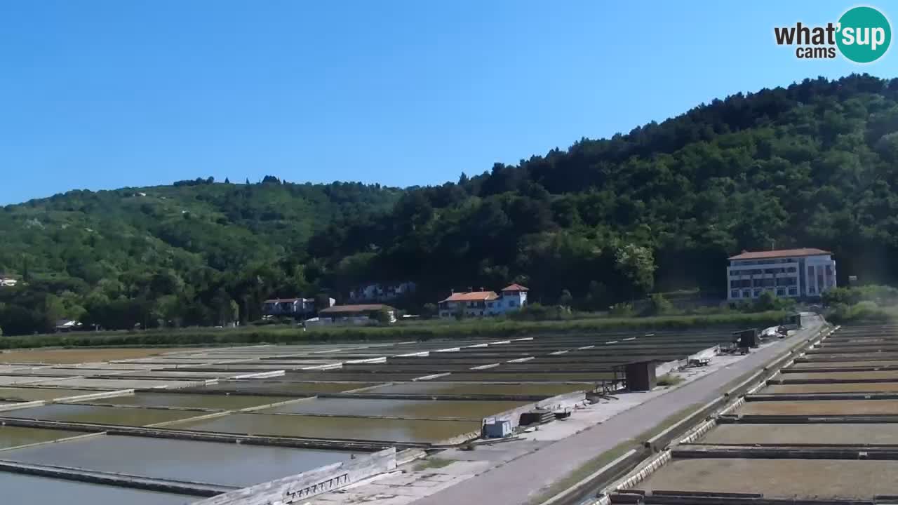 Krajinski park Strunjan