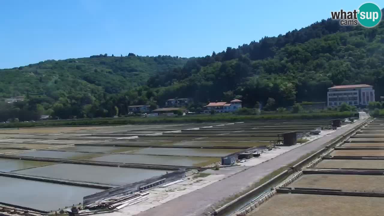 Krajinski park Strunjan