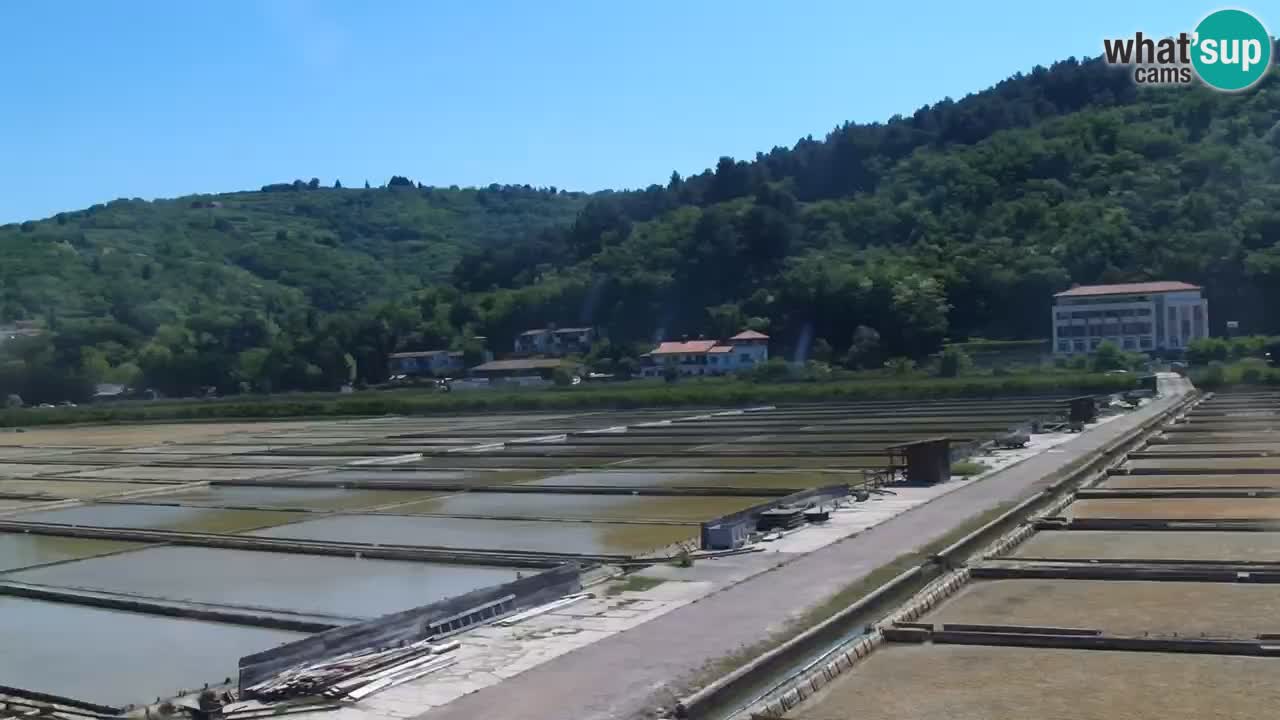 Parco naturale Strugnano