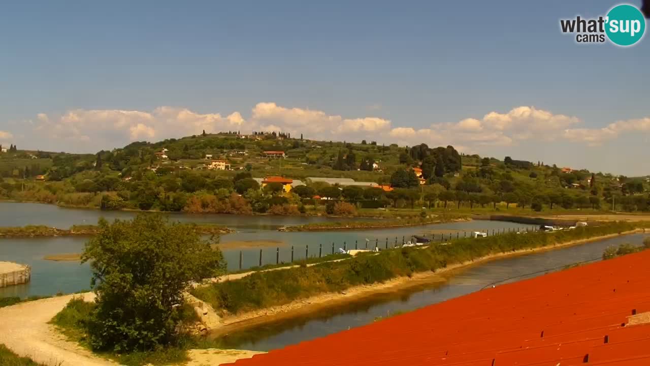 Krajinski park Strunjan v živo