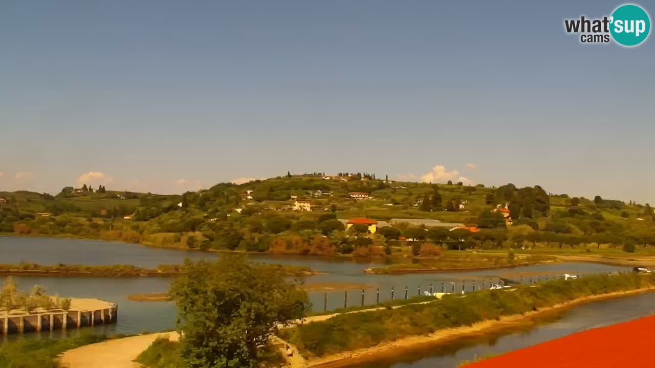 Krajinski park Strunjan v živo