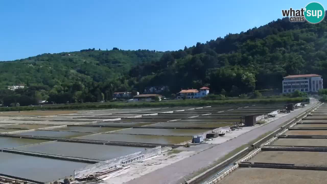 Krajinski park Strunjan
