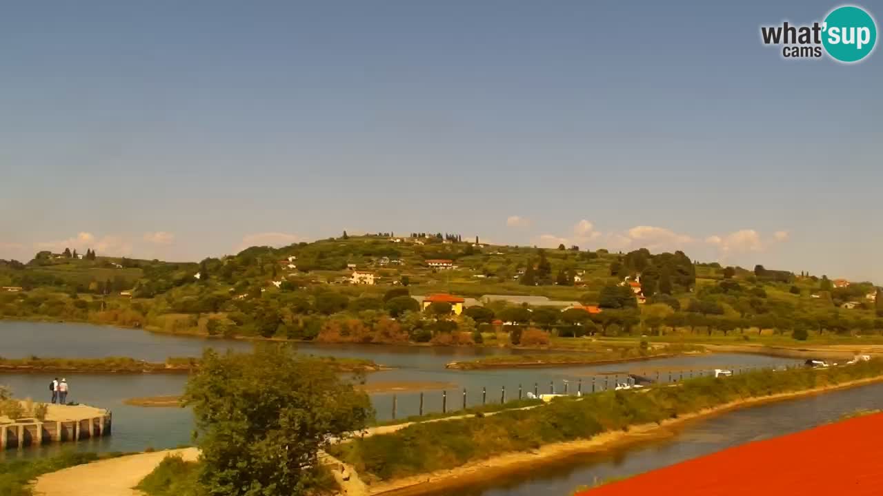 Krajinski park Strunjan u živo
