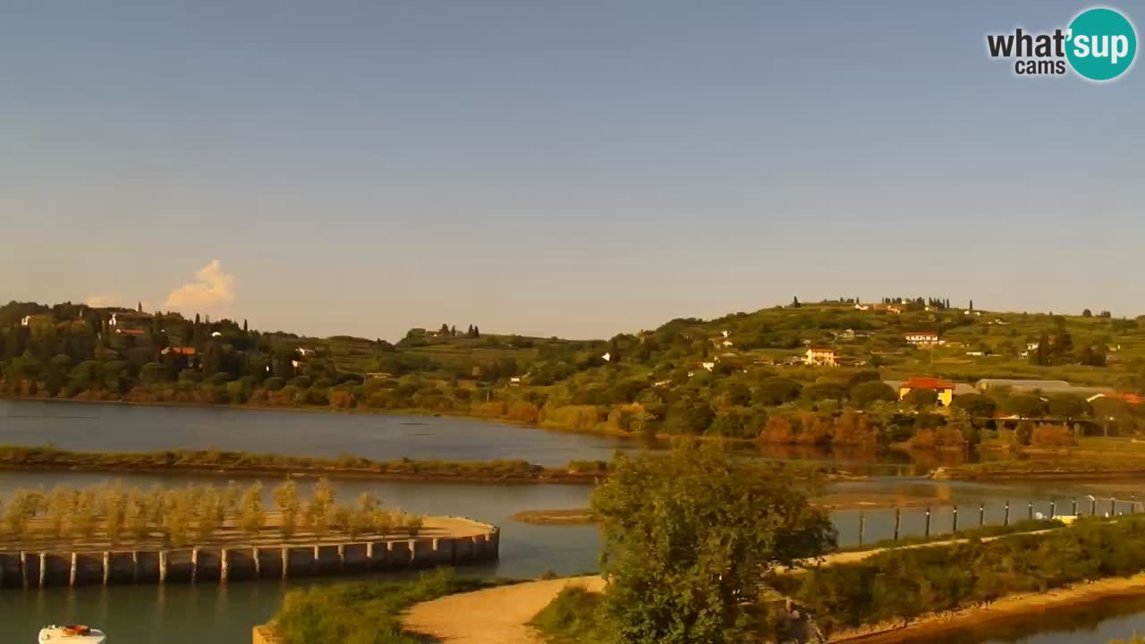 Krajinski park Strunjan v živo
