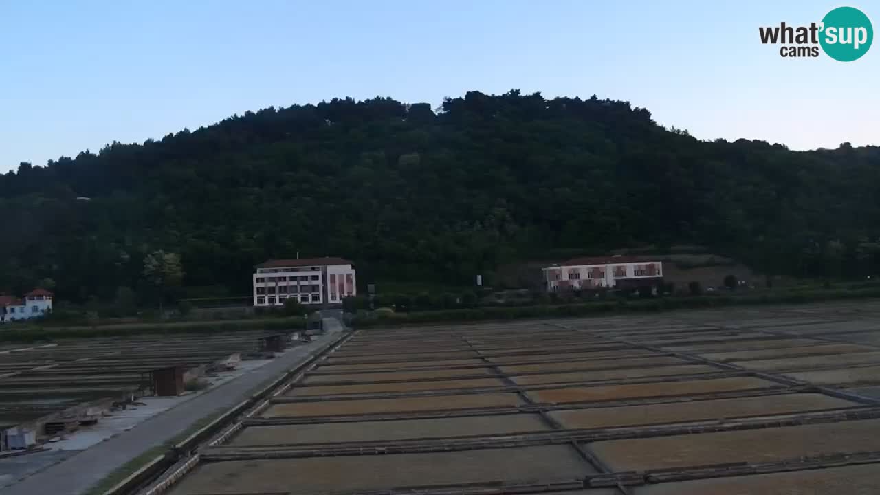 Krajinski park Strunjan v živo