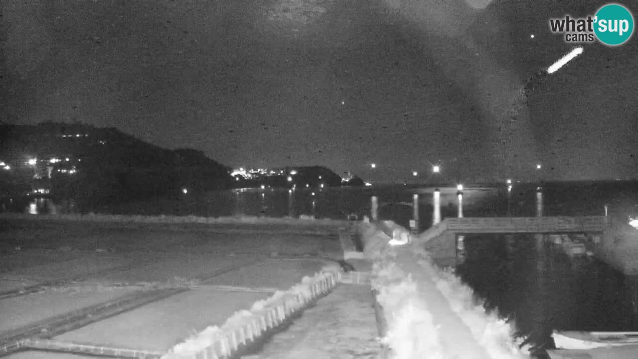 Krajinski park Strunjan v živo