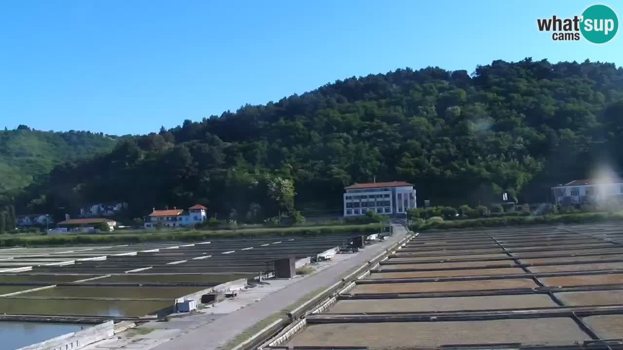 Krajinski park Strunjan v živo