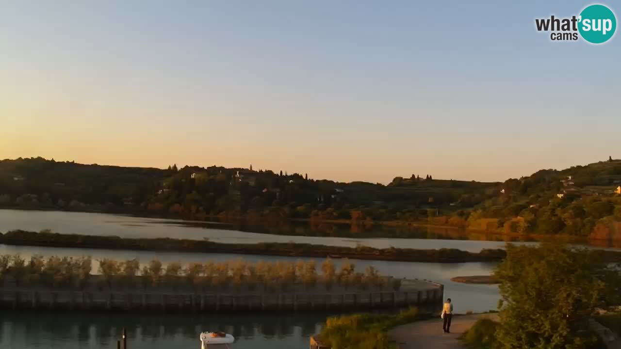 Krajinski park Strunjan v živo