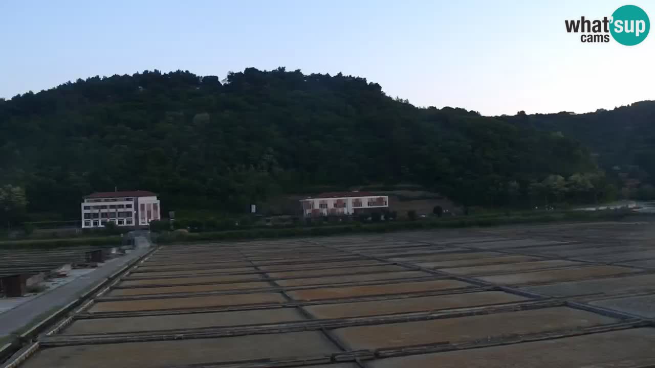 Krajinski park Strunjan