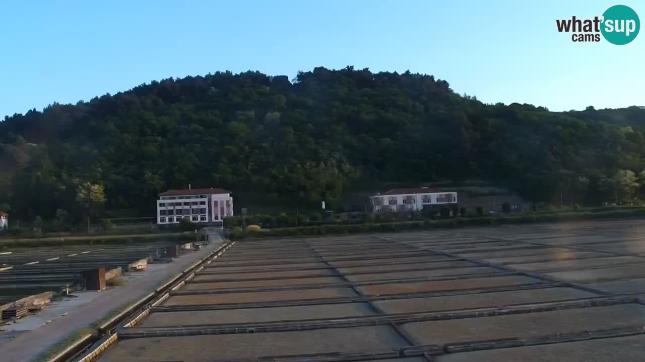 Krajinski park Strunjan