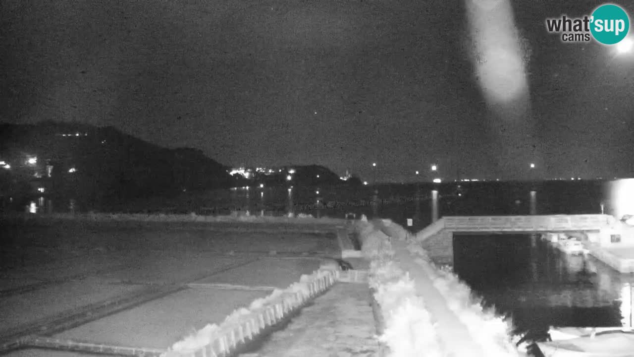 Krajinski park Strunjan v živo