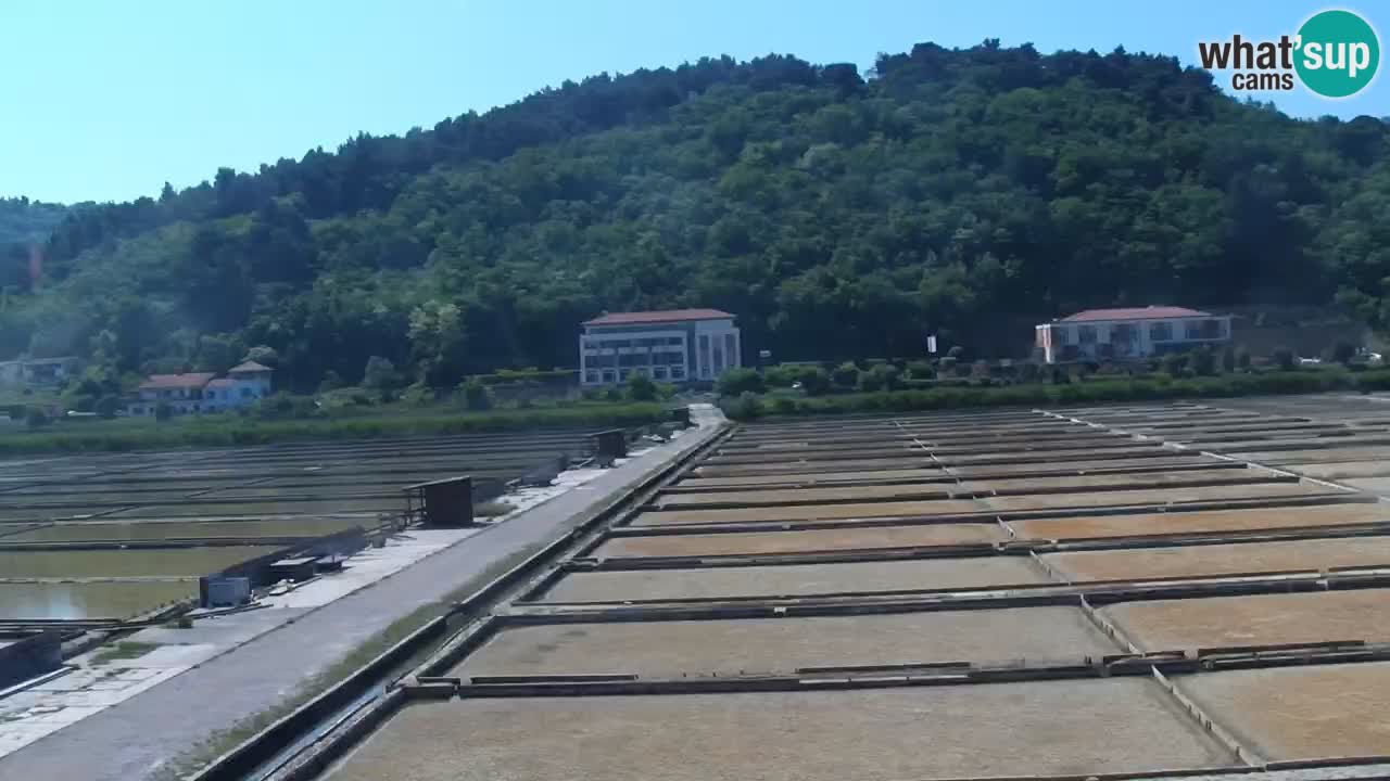 Krajinski park Strunjan