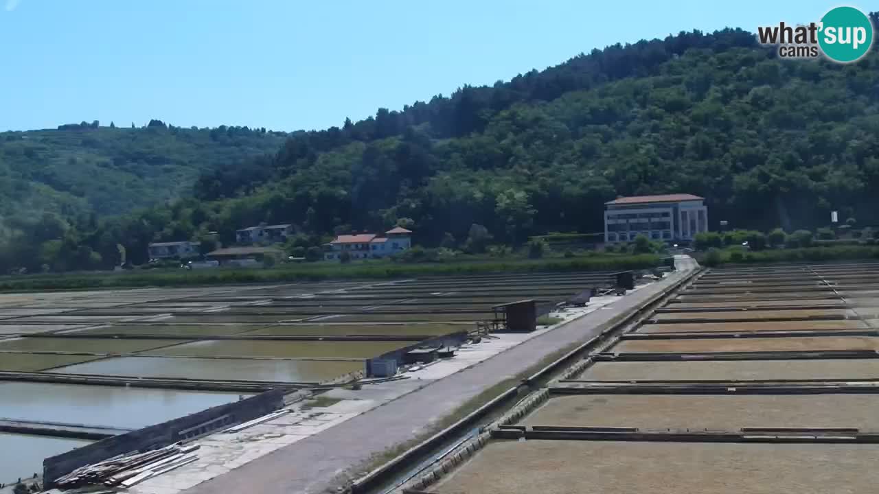 Krajinski park Strunjan u živo