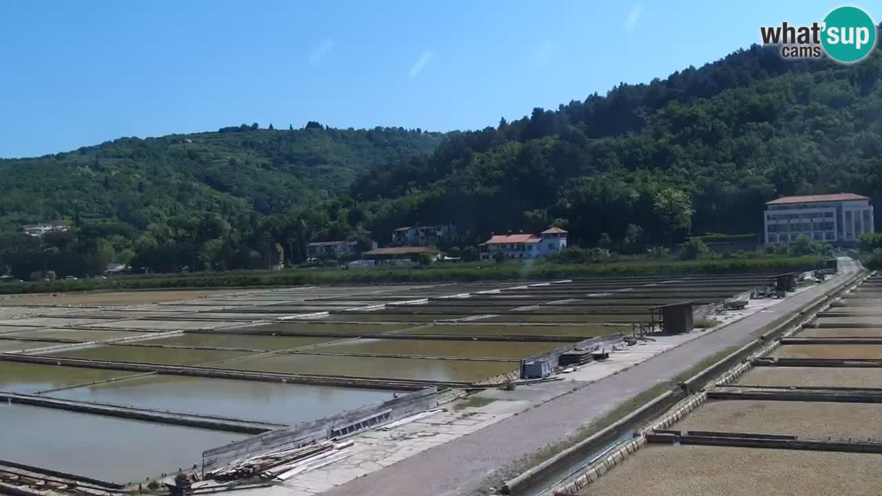 Krajinski park Strunjan