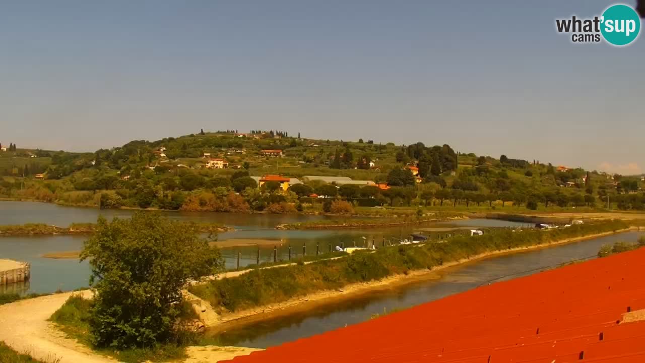 Krajinski park Strunjan v živo