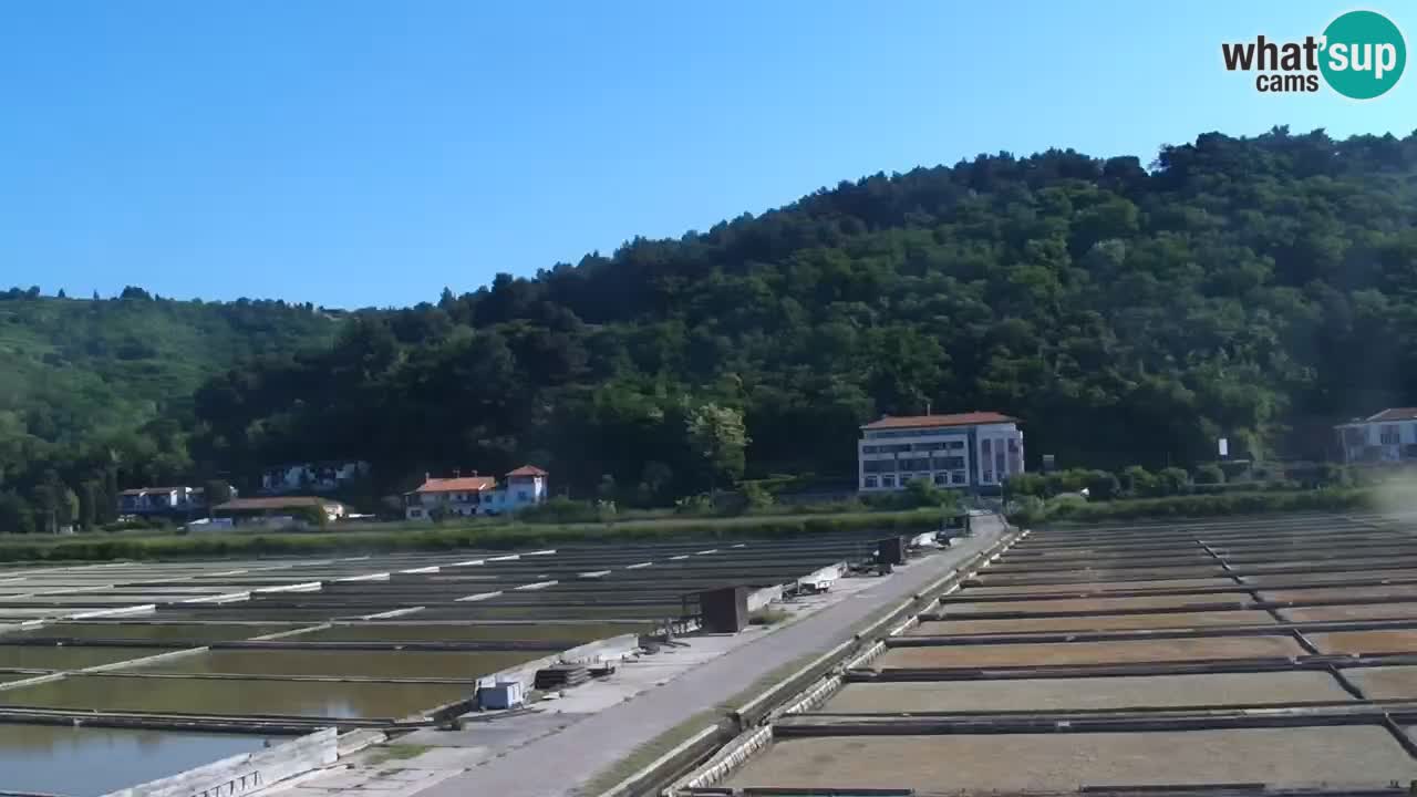 Krajinski park Strunjan