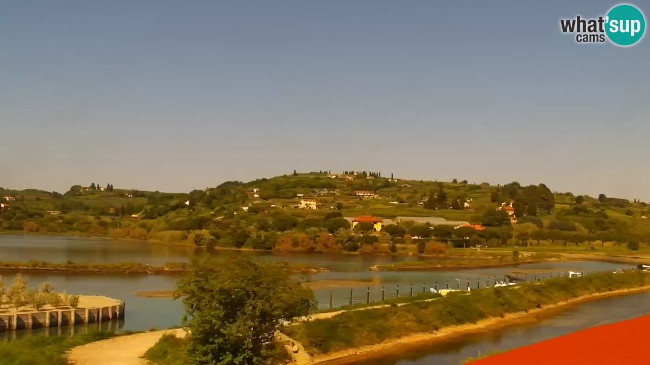 Krajinski park Strunjan v živo