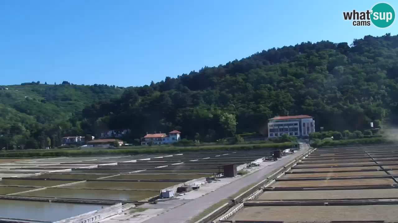 Krajinski park Strunjan