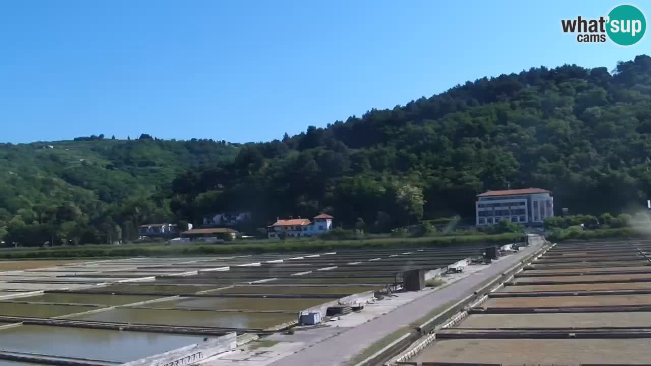 Parco naturale Strugnano