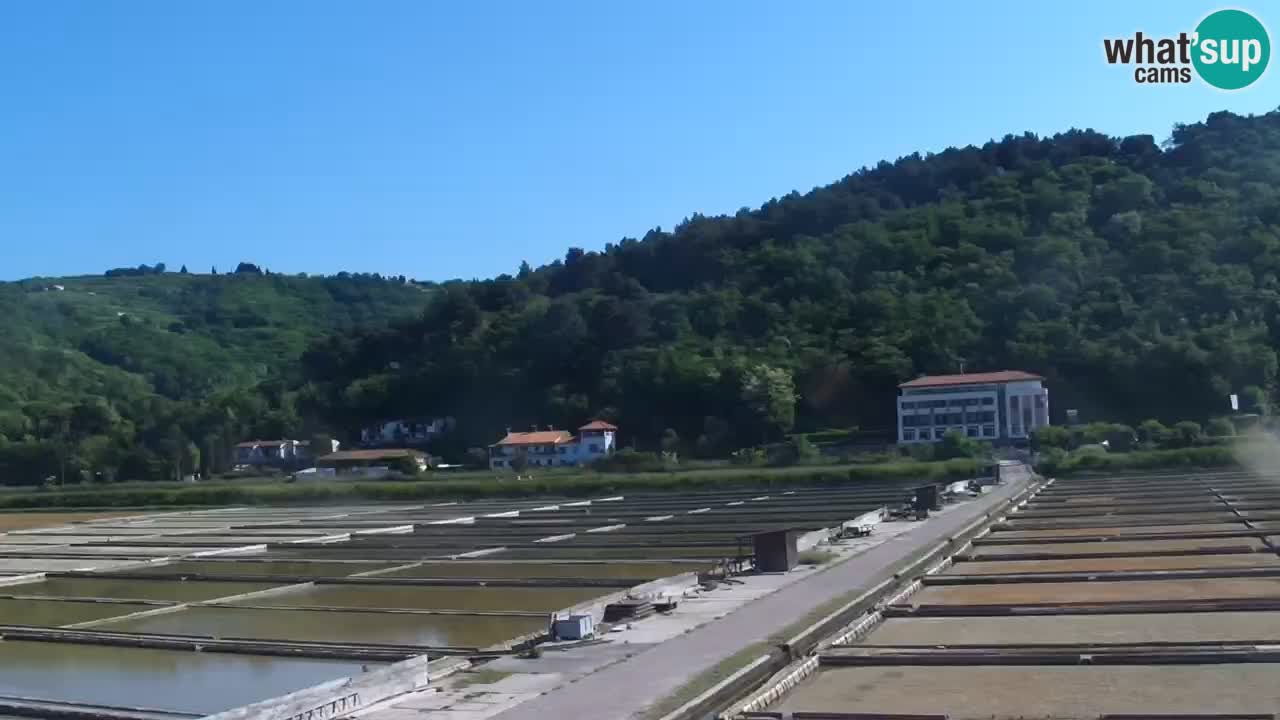 Parco naturale Strugnano