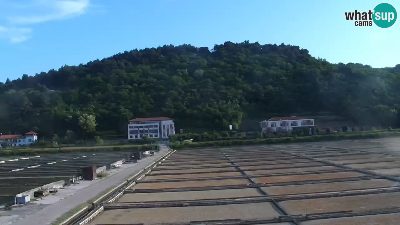 Krajinski park Strunjan