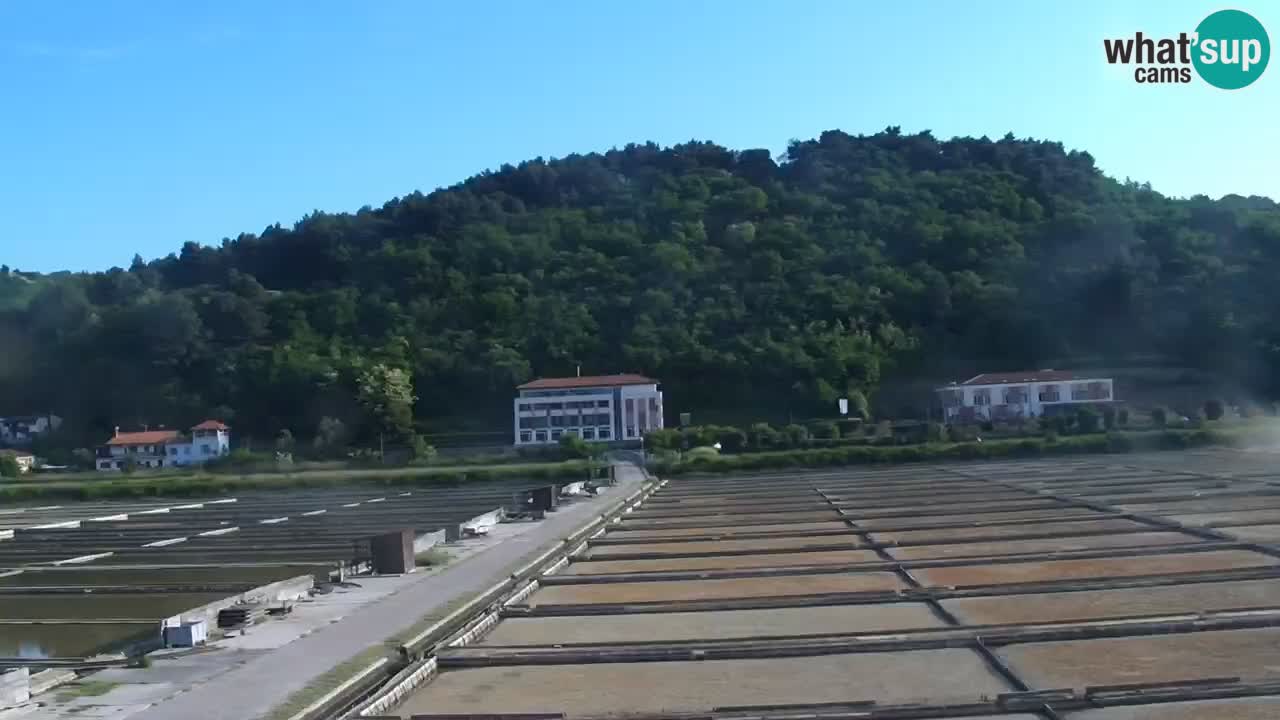 Krajinski park Strunjan