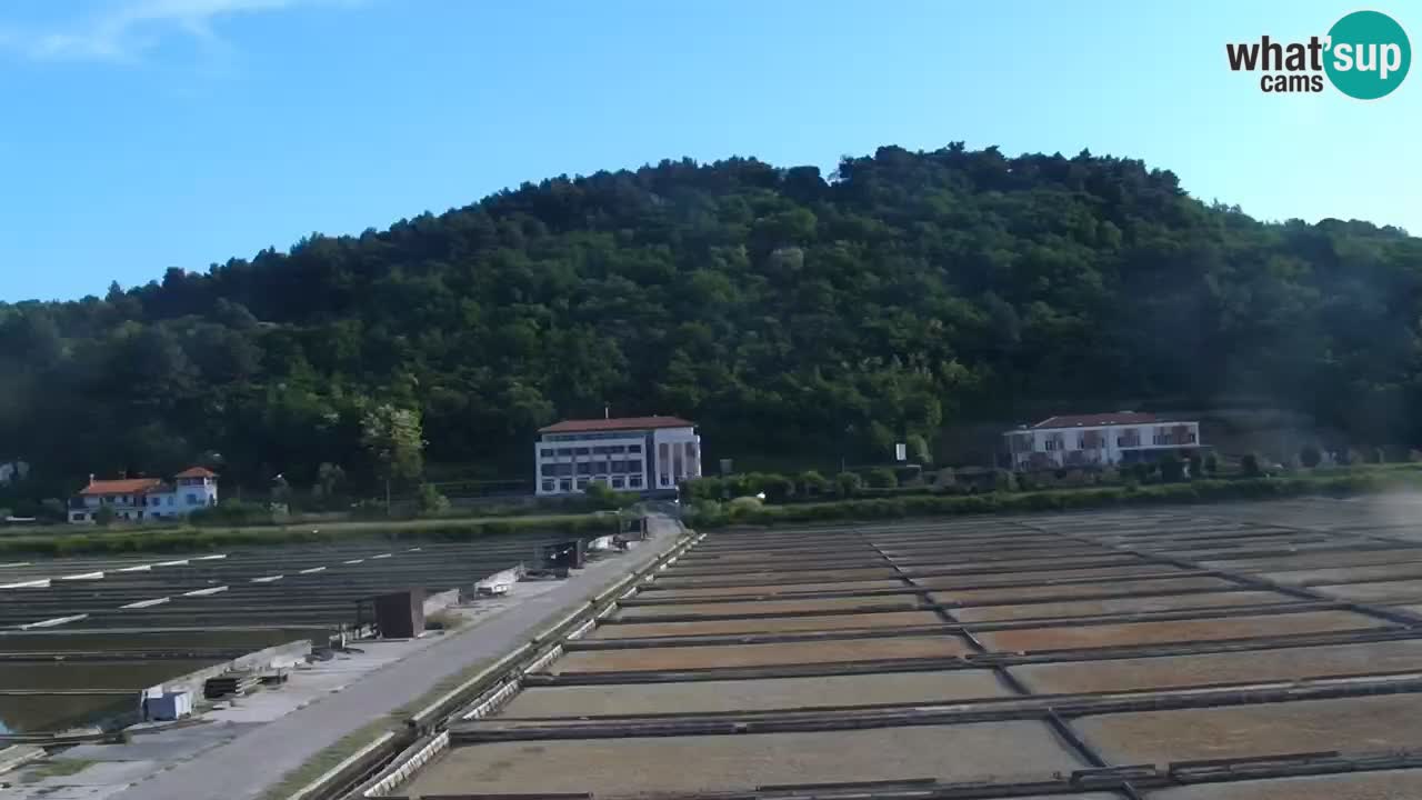 Krajinski park Strunjan