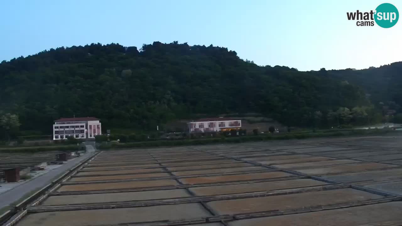 Krajinski park Strunjan u živo