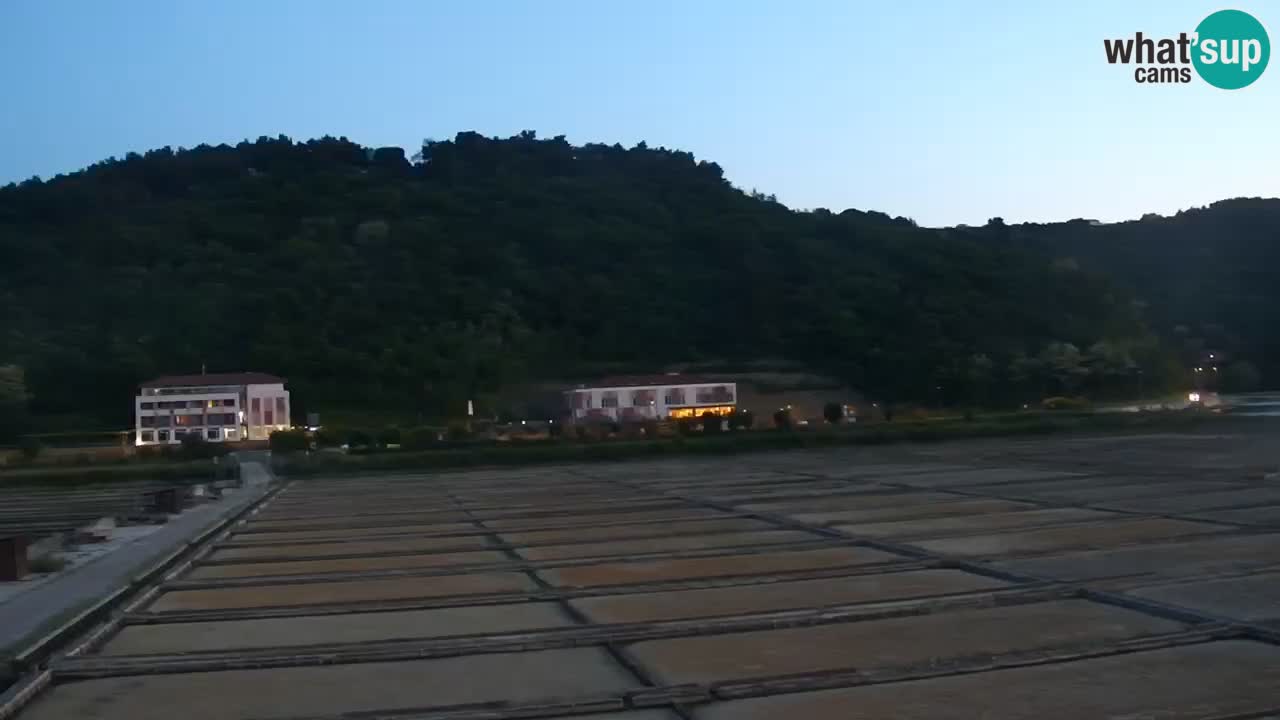 Krajinski park Strunjan