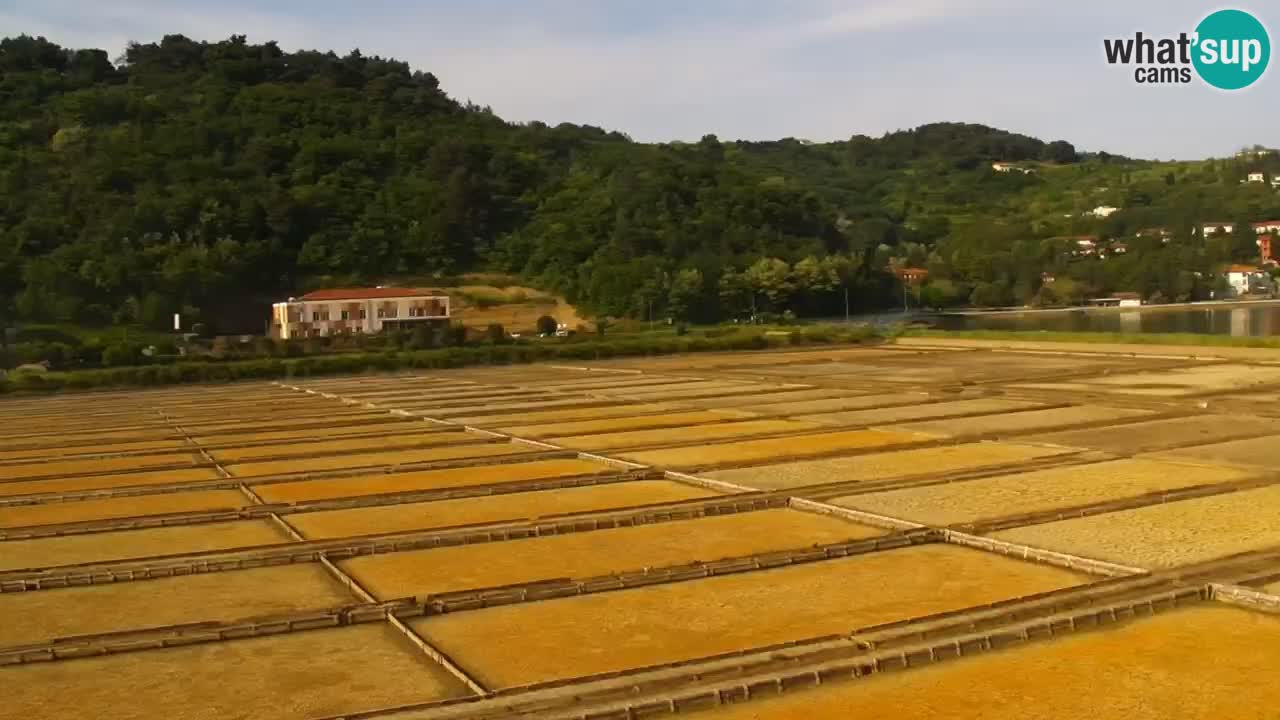 Krajinski park Strunjan