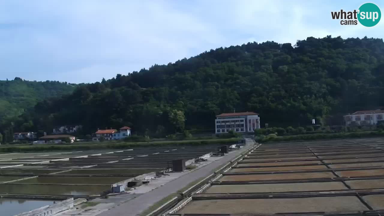 Krajinski park Strunjan