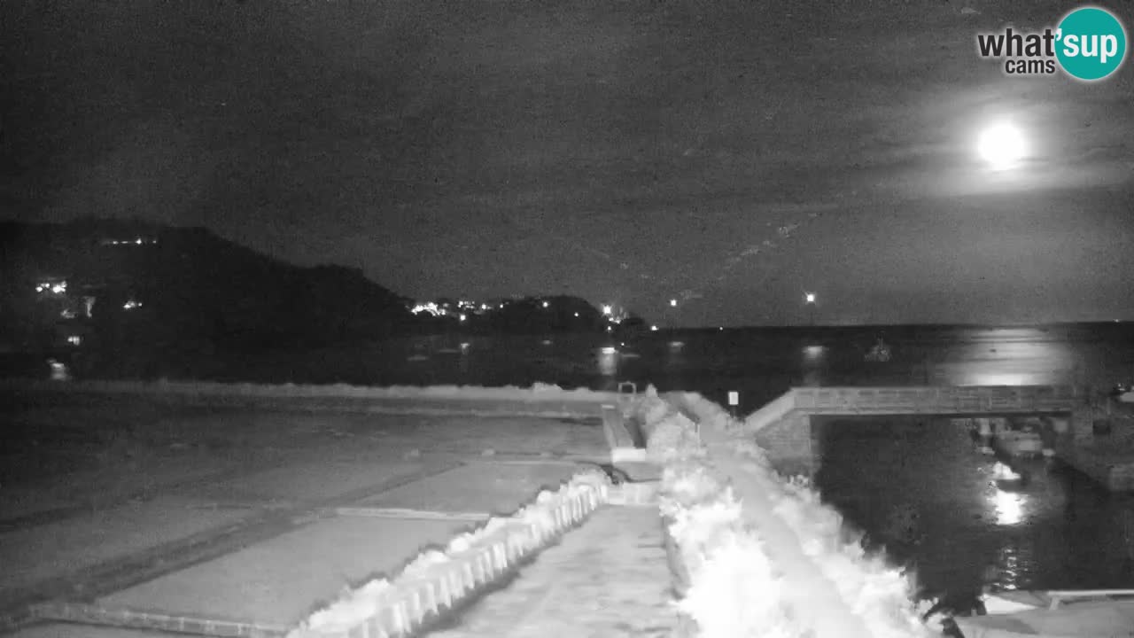 Krajinski park Strunjan v živo