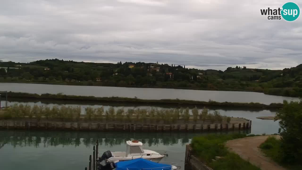 Krajinski park Strunjan u živo