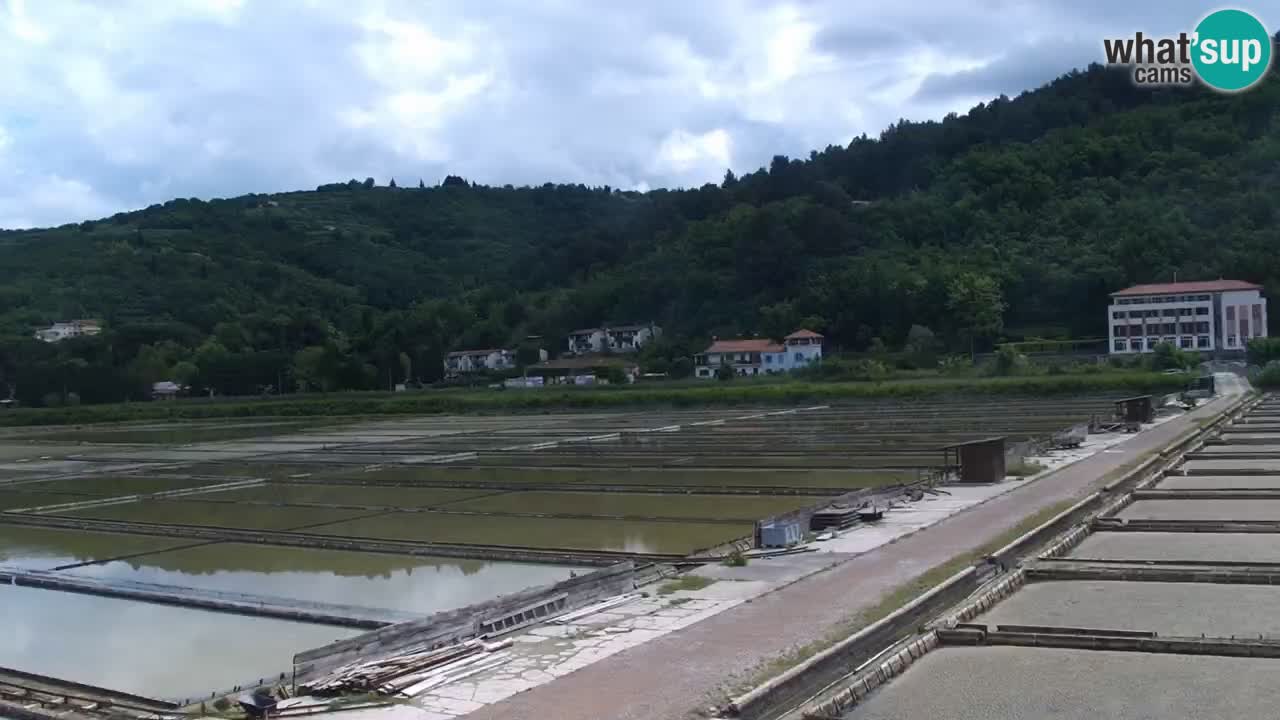 Krajinski park Strunjan u živo