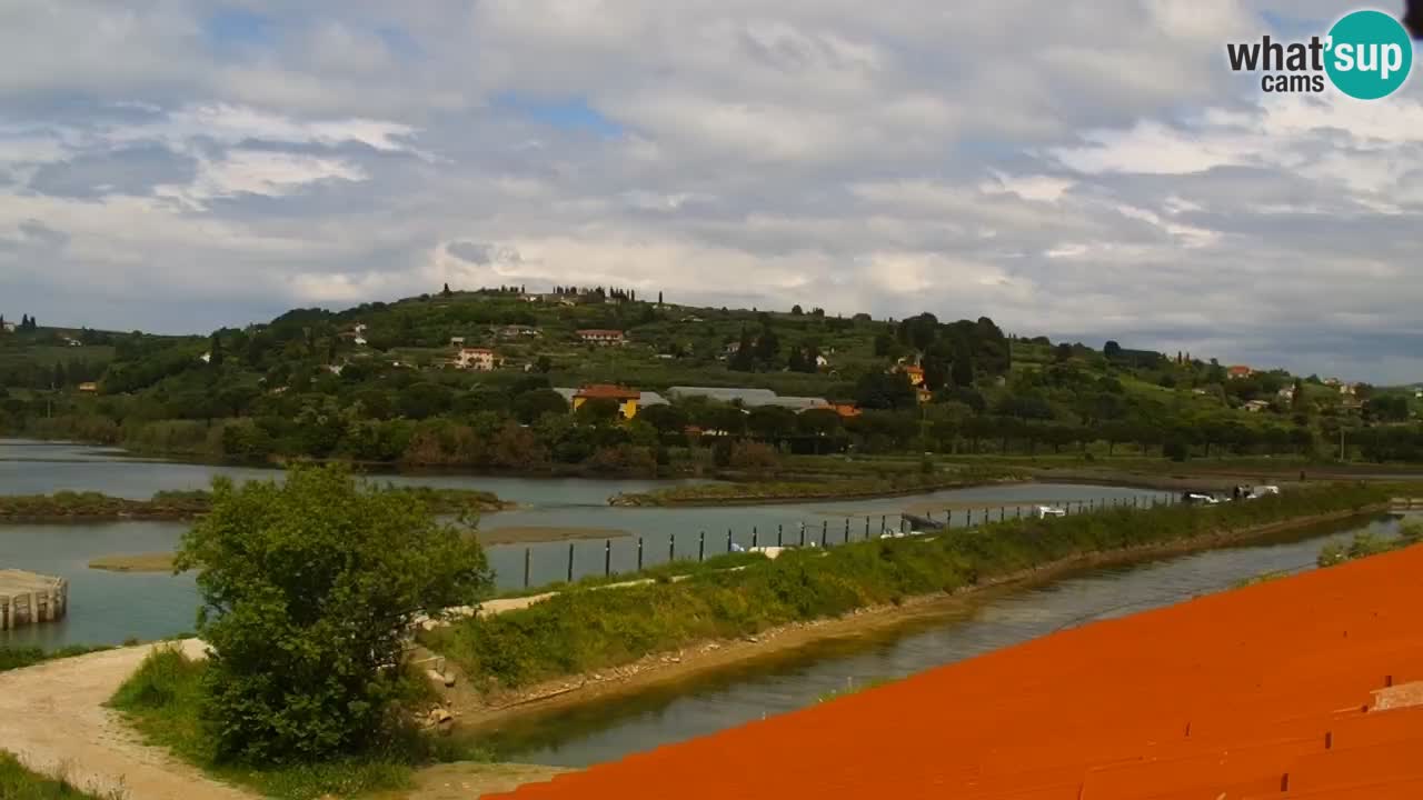 Krajinski park Strunjan u živo