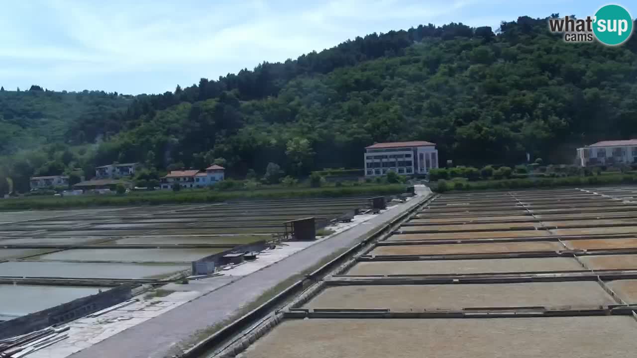Krajinski park Strunjan