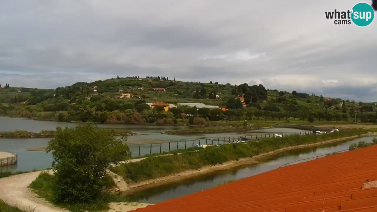 Krajinski park Strunjan v živo